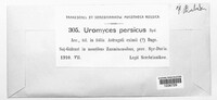 Image Associated With the Occurence